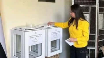 قرار رئاسي جديد.. تعيين 12 سيدة في مجلس الشيوخ 2025 لتمكين المرأة 1